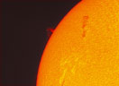 Solar Prominence Thumbnail